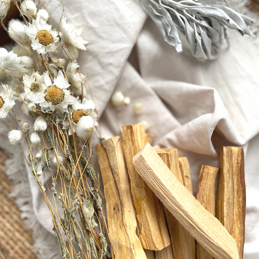 PALO SANTO (3 sticks)